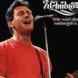 Wie wird des weitergeh'n